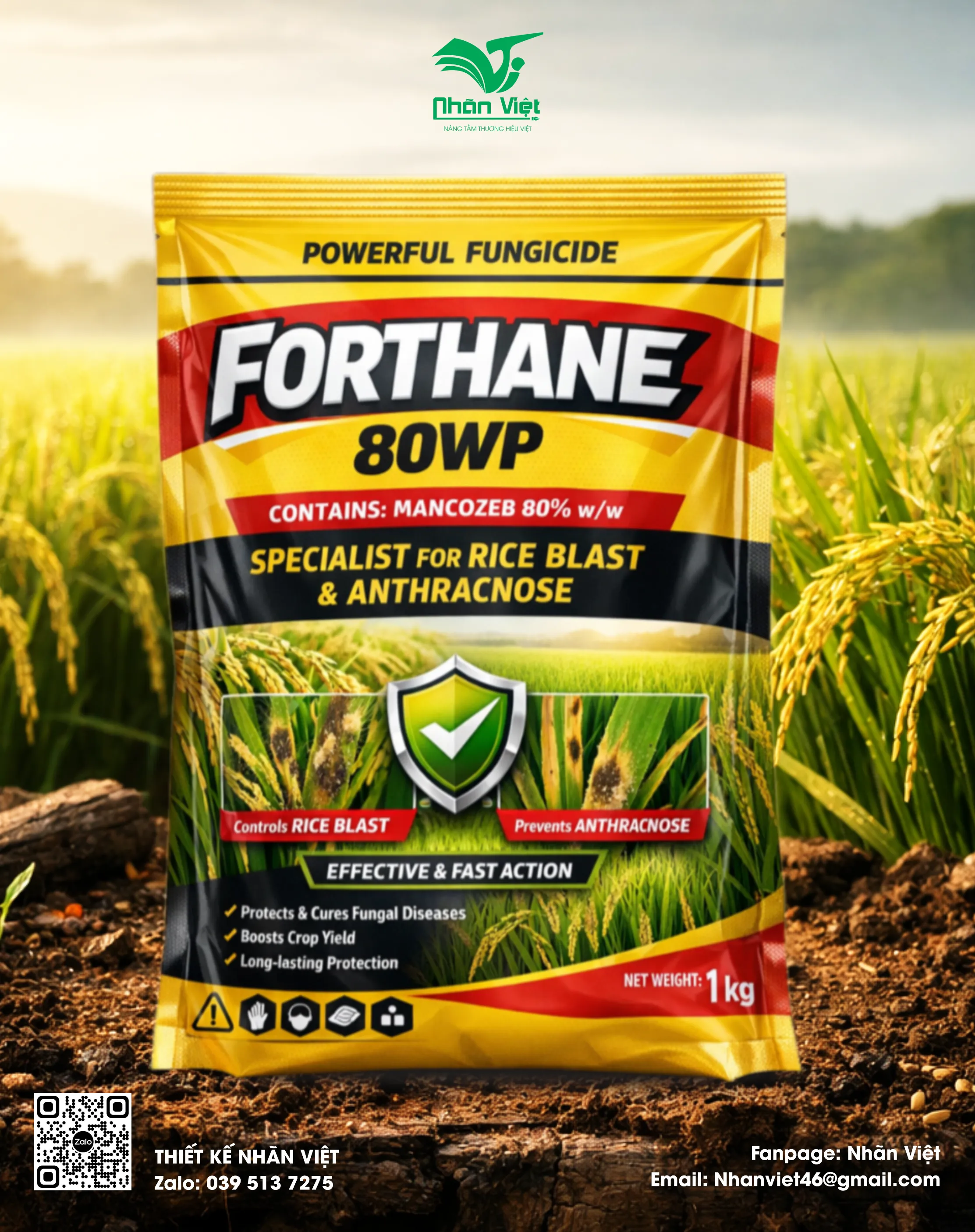 Nhãn mác & Bao bì